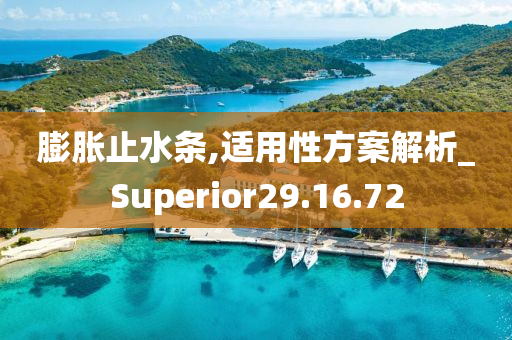 膨胀止水条,适用性方案解析_Superior29.16.72