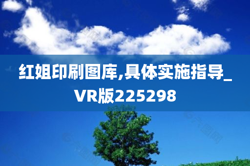 红姐印刷图库,具体实施指导_VR版225298