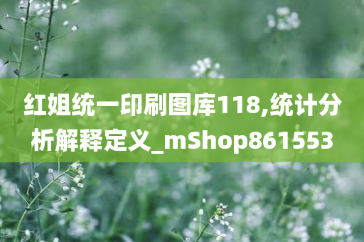 红姐统一印刷图库118,统计分析解释定义_mShop861553