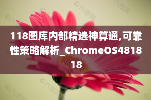 118图库内部精选神算通,可靠性策略解析_ChromeOS481818