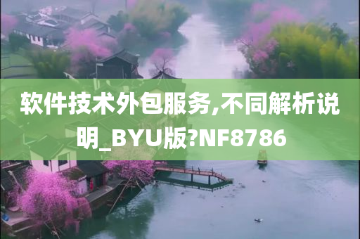 软件技术外包服务,不同解析说明_BYU版?NF8786