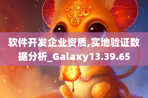 软件开发企业资质,实地验证数据分析_Galaxy13.39.65