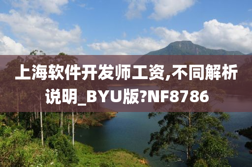 上海软件开发师工资,不同解析说明_BYU版?NF8786