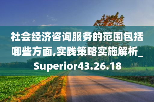 社会经济咨询服务的范围包括哪些方面,实践策略实施解析_Superior43.26.18