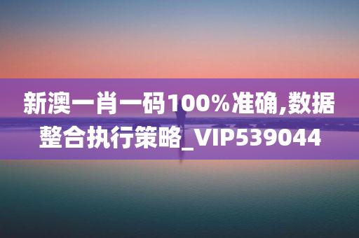 新澳一肖一码100%准确,数据整合执行策略_VIP539044