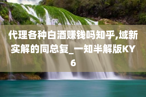 代理各种白酒赚钱吗知乎,域新实解的同总复_一知半解版KY6