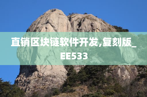 直销区块链软件开发,复刻版_EE533