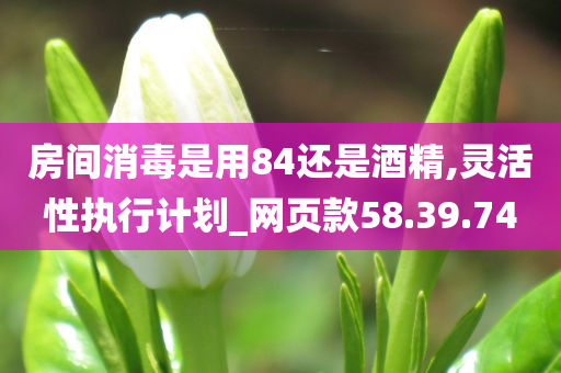 房间消毒是用84还是酒精,灵活性执行计划_网页款58.39.74