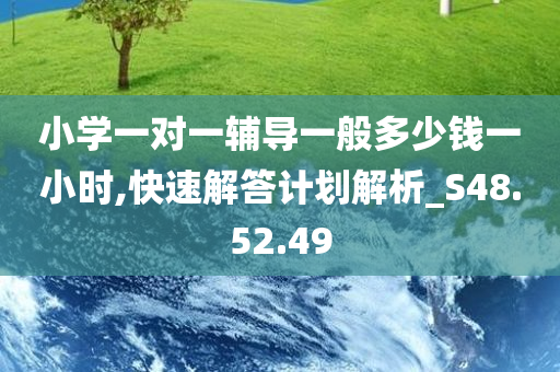 小学一对一辅导一般多少钱一小时,快速解答计划解析_S48.52.49