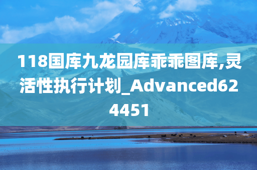 118国库九龙园库乖乖图库,灵活性执行计划_Advanced624451