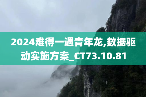 2024难得一遇青年龙,数据驱动实施方案_CT73.10.81