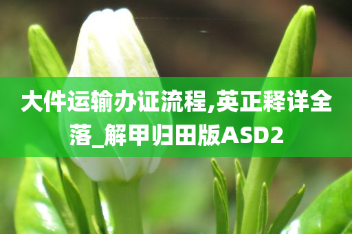 大件运输办证流程,英正释详全落_解甲归田版ASD2