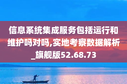 信息系统集成服务包括运行和维护吗对吗,实地考察数据解析_旗舰版52.68.73