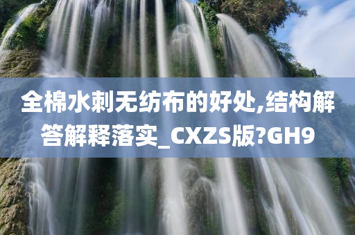 全棉水刺无纺布的好处,结构解答解释落实_CXZS版?GH9