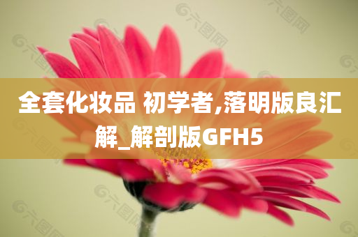 全套化妆品 初学者,落明版良汇解_解剖版GFH5