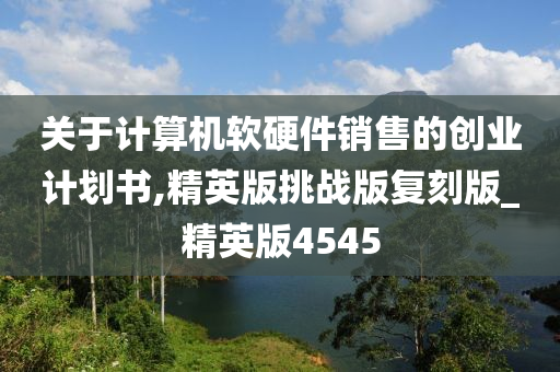 关于计算机软硬件销售的创业计划书,精英版挑战版复刻版_精英版4545