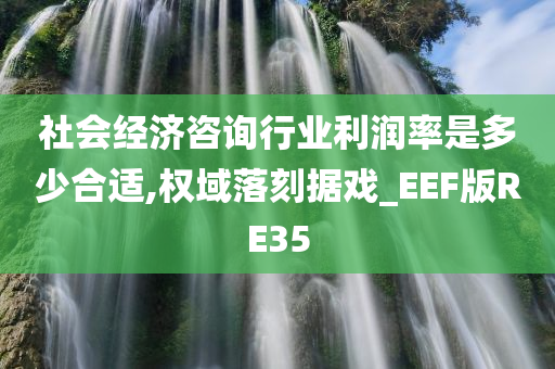 社会经济咨询行业利润率是多少合适,权域落刻据戏_EEF版RE35