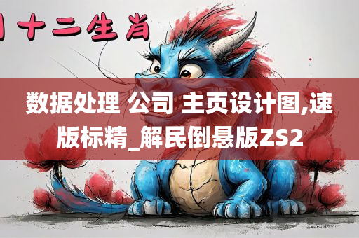 数据处理 公司 主页设计图,速版标精_解民倒悬版ZS2