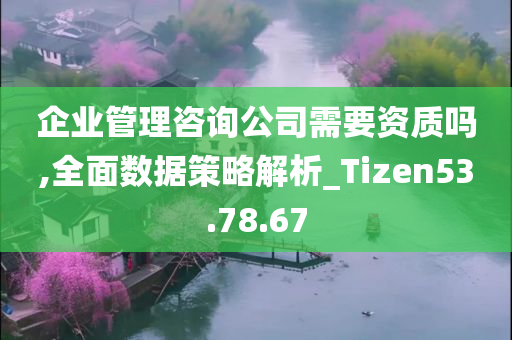 企业管理咨询公司需要资质吗,全面数据策略解析_Tizen53.78.67