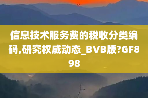 信息技术服务费的税收分类编码,研究权威动态_BVB版?GF898