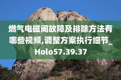 燃气电磁阀故障及排除方法有哪些视频,调整方案执行细节_Holo57.39.37