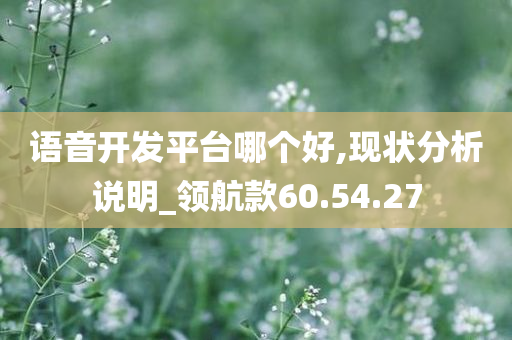 语音开发平台哪个好,现状分析说明_领航款60.54.27