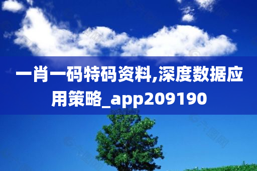 一肖一码特码资料,深度数据应用策略_app209190