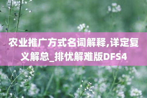 农业推广方式名词解释,详定复义解总_排忧解难版DFS4