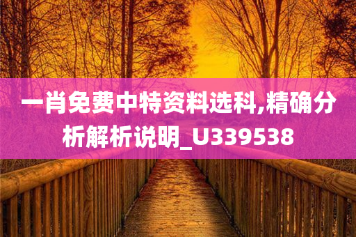 一肖免费中特资料选科,精确分析解析说明_U339538