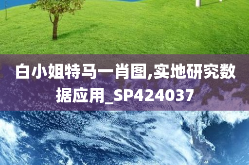 白小姐特马一肖图,实地研究数据应用_SP424037