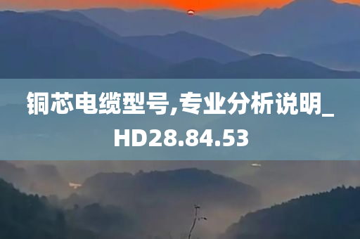 铜芯电缆型号,专业分析说明_HD28.84.53