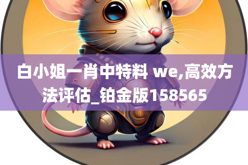 白小姐一肖中特料 we,高效方法评估_铂金版158565