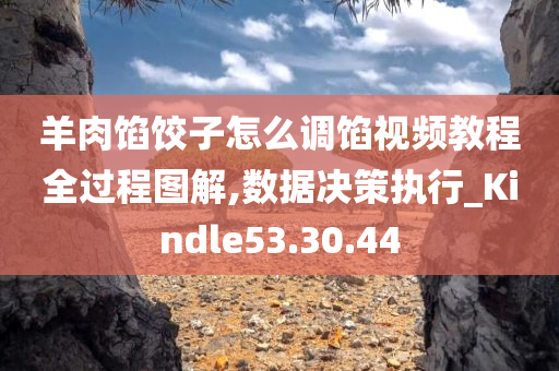 羊肉馅饺子怎么调馅视频教程全过程图解,数据决策执行_Kindle53.30.44