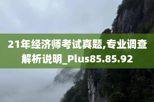 21年经济师考试真题,专业调查解析说明_Plus85.85.92