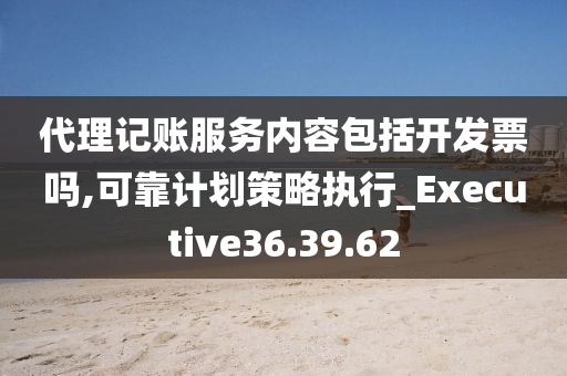 代理记账服务内容包括开发票吗,可靠计划策略执行_Executive36.39.62