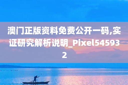 澳门正版资料免费公开一码,实证研究解析说明_Pixel545932