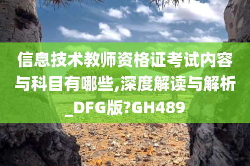 信息技术教师资格证考试内容与科目有哪些,深度解读与解析_DFG版?GH489