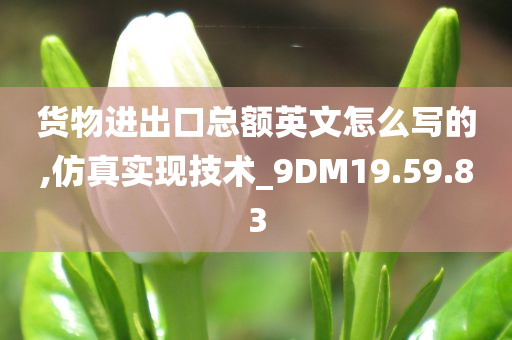 货物进出口总额英文怎么写的,仿真实现技术_9DM19.59.83