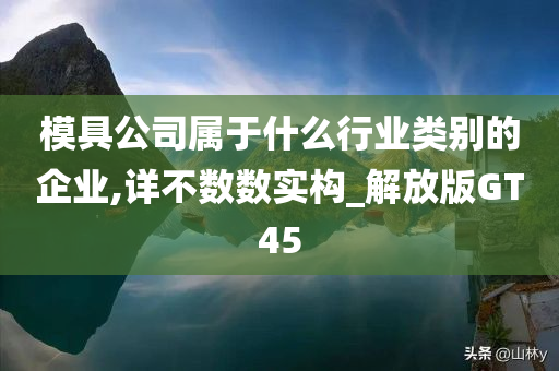 模具公司属于什么行业类别的企业,详不数数实构_解放版GT45