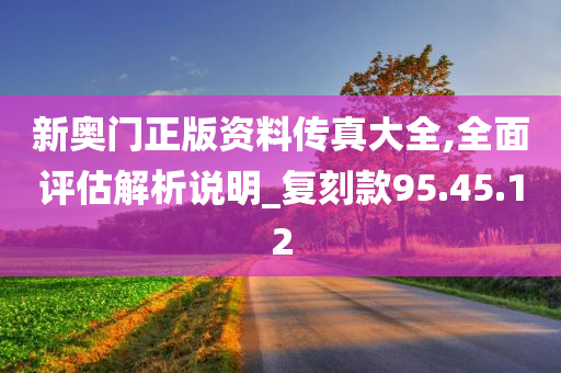 新奥门正版资料传真大全,全面评估解析说明_复刻款95.45.12