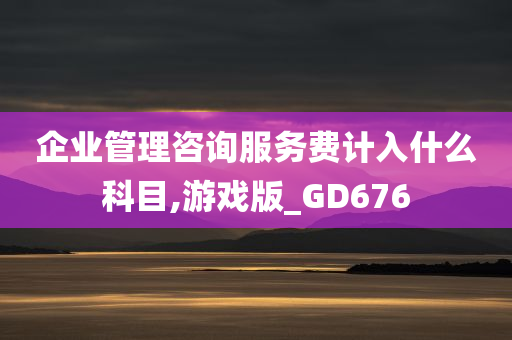 企业管理咨询服务费计入什么科目,游戏版_GD676