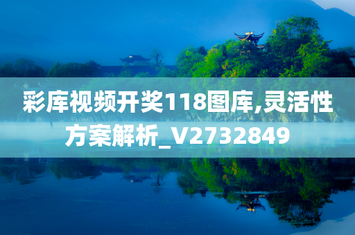 彩库视频开奖118图库,灵活性方案解析_V2732849