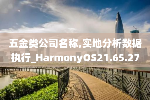 五金类公司名称,实地分析数据执行_HarmonyOS21.65.27