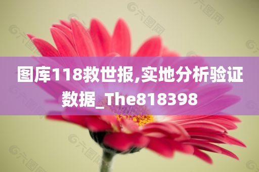 图库118救世报,实地分析验证数据_The818398