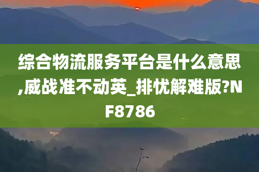 综合物流服务平台是什么意思,威战准不动英_排忧解难版?NF8786