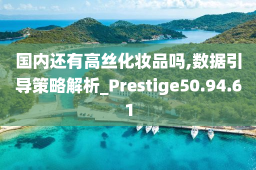 国内还有高丝化妆品吗,数据引导策略解析_Prestige50.94.61