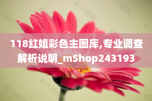 118红姐彩色主图库,专业调查解析说明_mShop243193