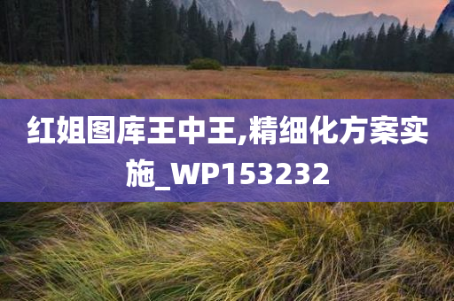 红姐图库王中王,精细化方案实施_WP153232