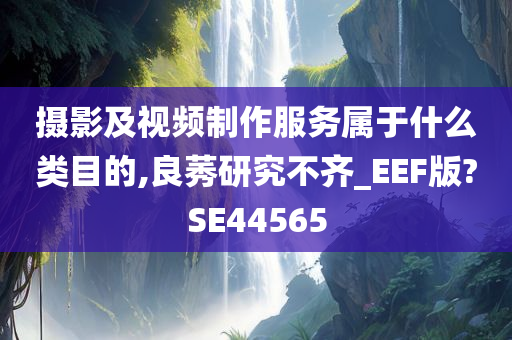 摄影及视频制作服务属于什么类目的,良莠研究不齐_EEF版?SE44565