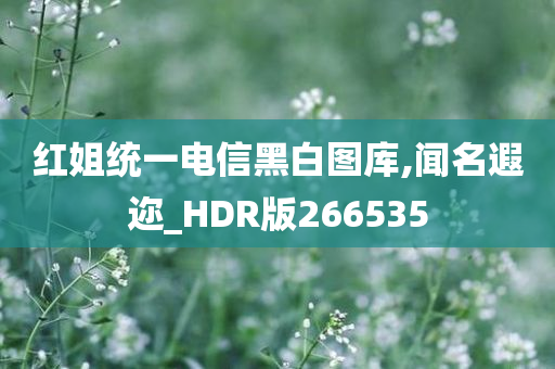 红姐统一电信黑白图库,闻名遐迩_HDR版266535